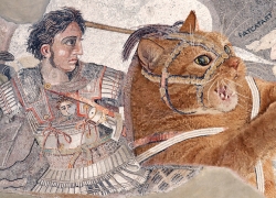 Alexander the Great riding the Fat Cat at the Battle of Issus, mosaics from Pompeii