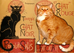 Théophile Steinlen, La tournée du Chat Noir et du Chat Rouge