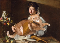 Караваджо, Юноша с лютней и котом