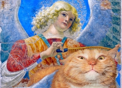 Мелоццо да Форли, Ангел, чешущий своего крылатого кота