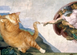 Микеланджело,  Сотворение Кота