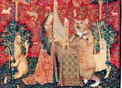 A Lady with the Cat in the Unicorn Hat: Hearing