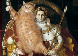 Жан Огюст Доминик Энгр, Кот, восседающий на Наполеоне I как на императорском троне