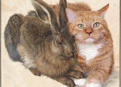 Albrecht Dürer, Hare and Cat
