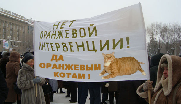 No for the orange revolution, yes for the orange cat Дамы за котов