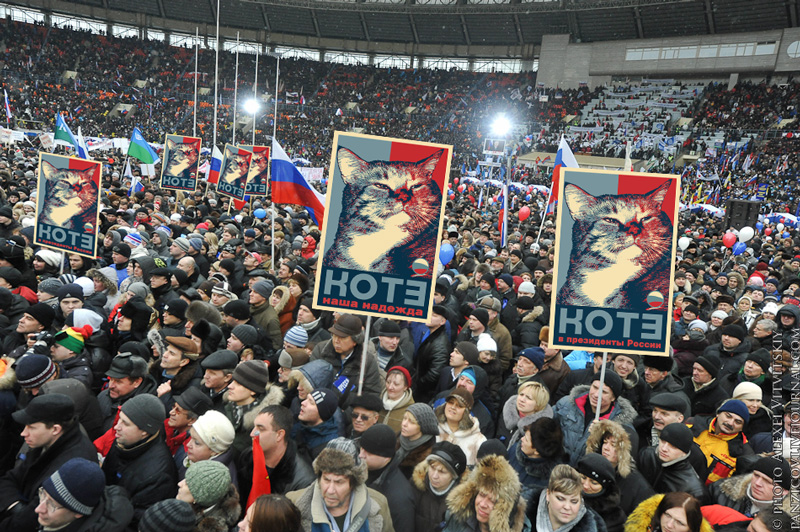 Kitteh rally Киттинг