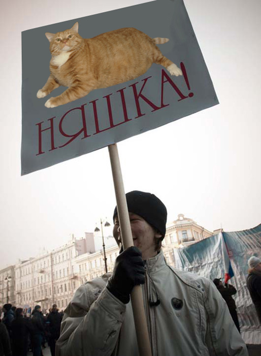 Anime fan votes for the Cat Няшный парнишка - за няшку