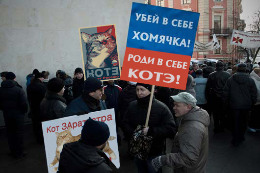 Reborn as a kitteh! Роди в себе котэ