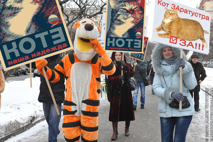 Tigers and young ladies vote for the cat Тигры и гирлы - за котэ