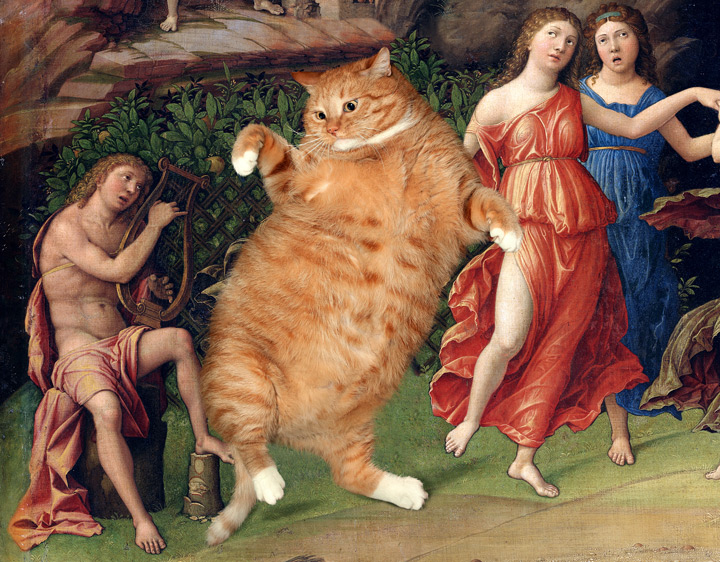 Apollo is playing his lyre to a Mews