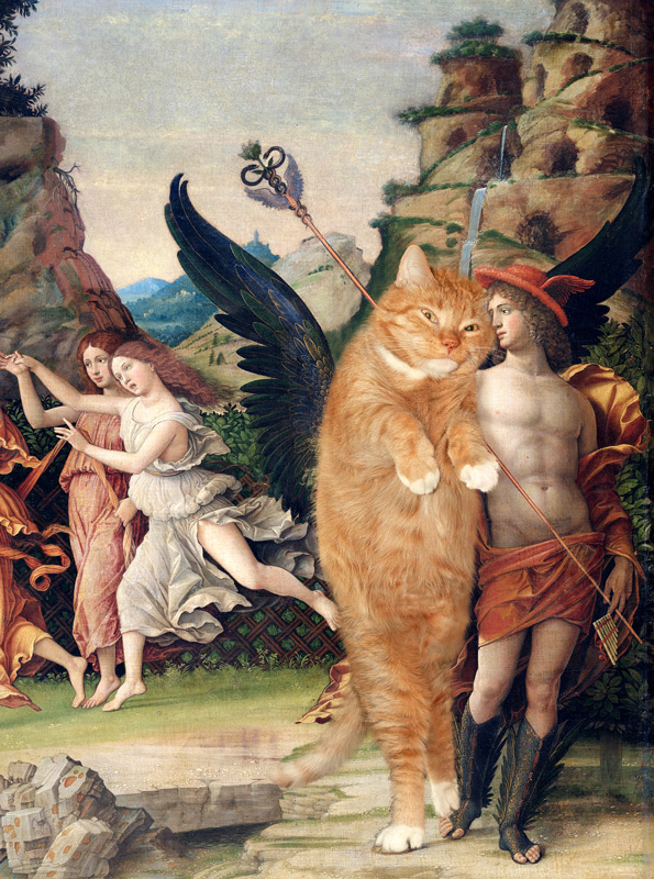 Mercury is speaking to cat Pegasus